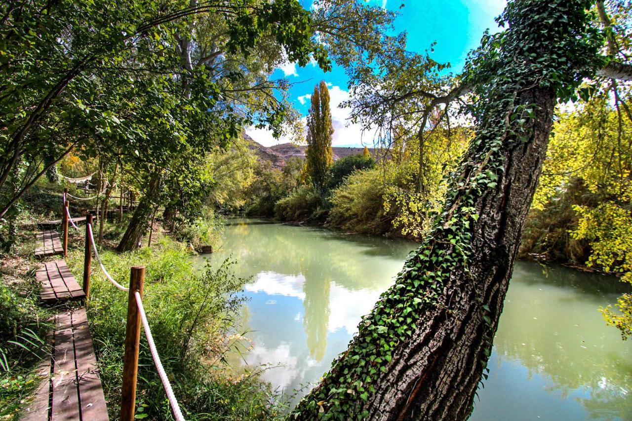 Xuq Lomas De Ruvira Hotel Jorquera Exterior foto